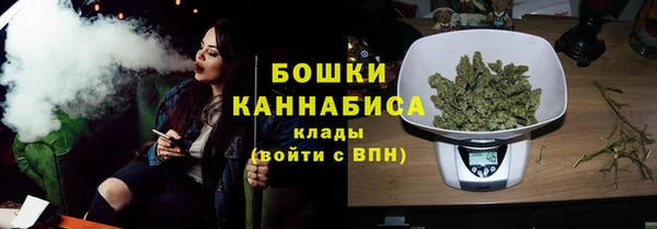сатива Верея