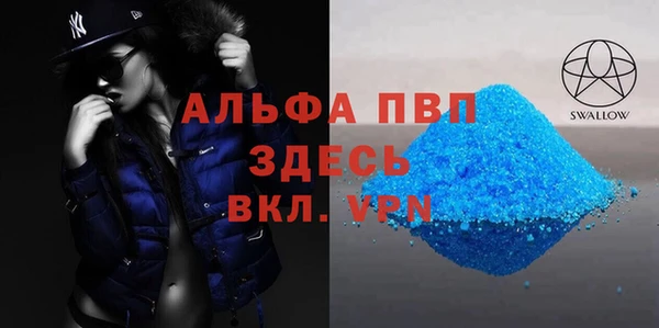 сатива Верея