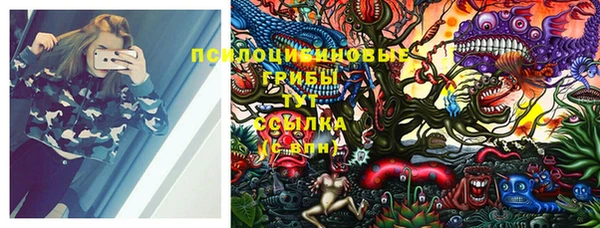 сатива Верхнеуральск