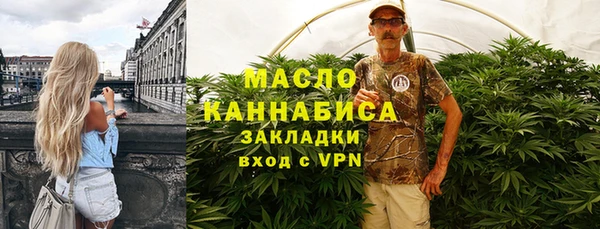 сатива Верея
