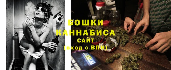 сатива Верея