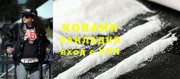 сатива Верея