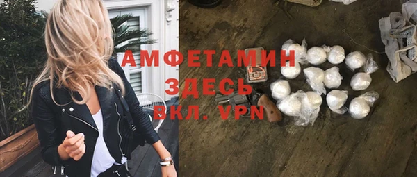 сатива Верея