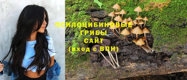 сатива Верхнеуральск