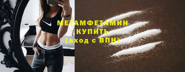 сатива Верея