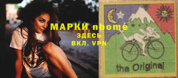 сатива Верея