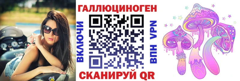 Купить где  Кашира  Псилоцибиновые грибы Psilocybe 